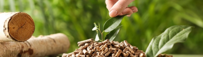 main déposant une feuille verte sur un tas de pellets