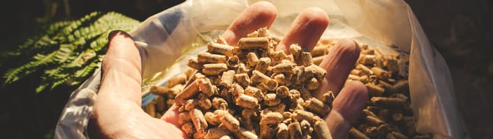 main remplie de pellets de bois