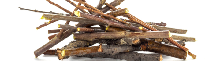 tas de brindilles de bois