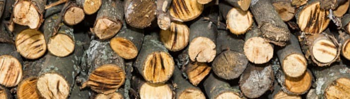 bûches de bois séchées et empilées