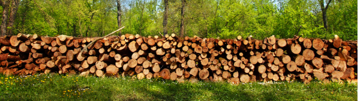 un mur de bois coupés en extérieur