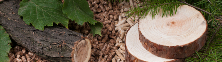 deux tranches de bois sur du pellets