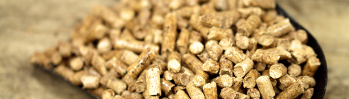 pellets de bois dans une pelle