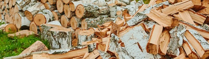 tas de bois empilés