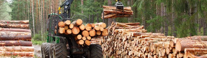 tracteur forestier chargeant du bois