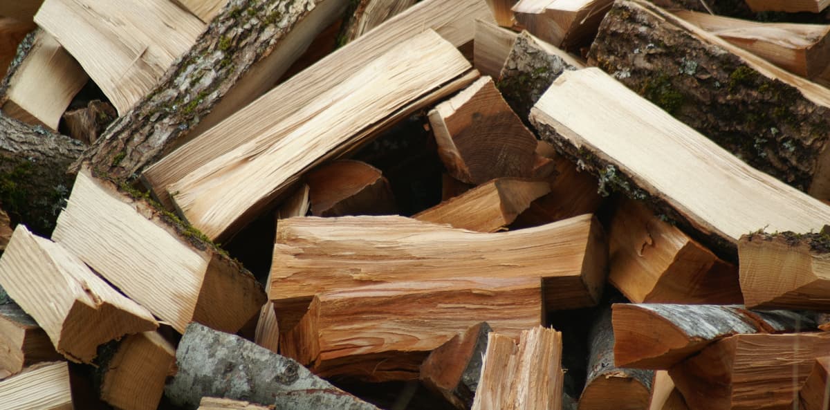 bûches de bois coupées et éparpillées