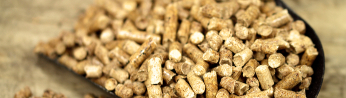 pelle remplie de bois granulés