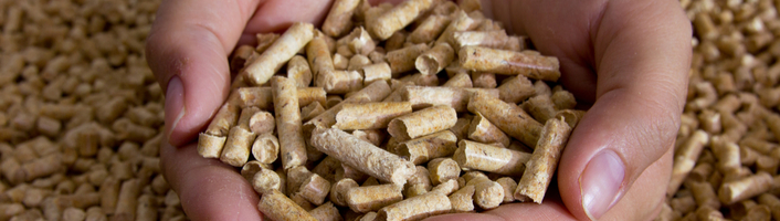 mains remplies de pellets de bois