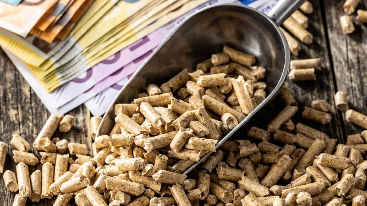 billets d'euros et une pelle remplie de pellets