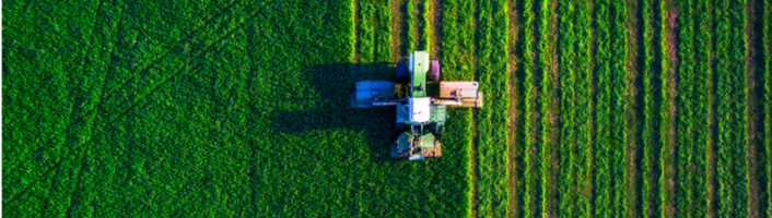 agriculture traditionnelle