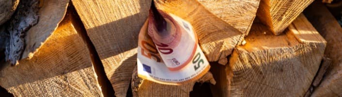 billets d'euros encornés sur un tas de bûches