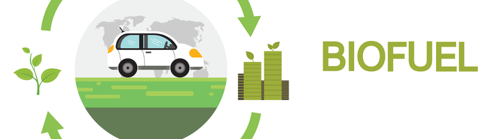 vignette d'une voiture roulant au bio fioul