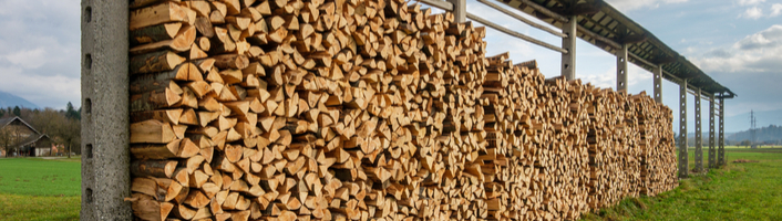 abris de bois avec ses bûches empilées