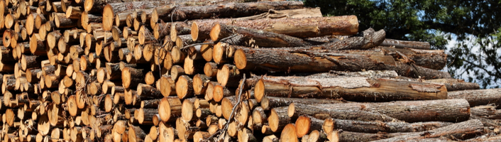 tas de bois empilés