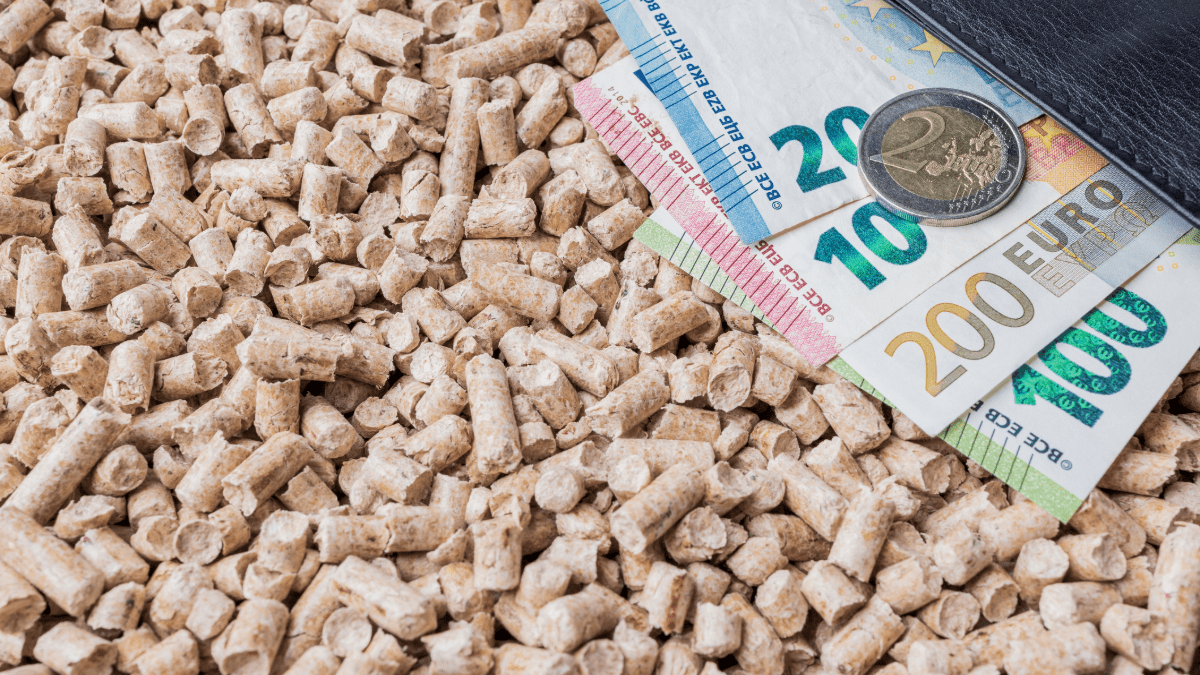 billets d'euros enfouis dans du pellets de bois