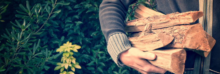 personne portant des bûches de bois