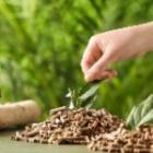 main déposant une feuille verte sur un tas de pellets