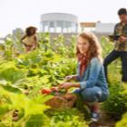 Agriculture durable