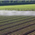 Agriculture intensive