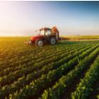 Se lancer dans l’agriculture
