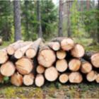 Le bois de chauffage, première énergie renouvelable en france