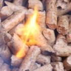 pellets de bois enflammés