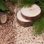 deux tranches de bois sur du pellets