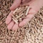 main remplie de pellets de bois