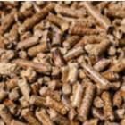 focus sur du pellets de bois