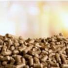 tas de pellets de bois