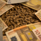 billets d'euros enfouis dans du pellets