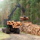 tracteur forestier chargeant du bois