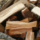 bûches de bois coupées et éparpillées