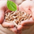 mains jointes présentant des pellets