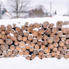 tas de bois enneigés
