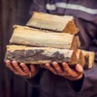 Le bois est-il si écologique ?