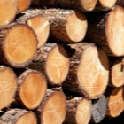 Bois chauffage respect environnement