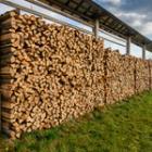 abris de bois avec ses bûches empilées
