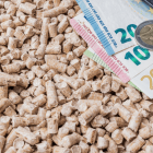 billets d'euros enfouis dans du pellets de bois