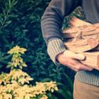 personne portant des bûches de bois