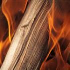 bûche consumée par les flammes