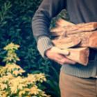 personne portant des bûches de bois
