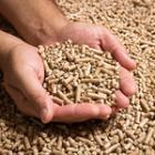 les-criteres-pour-choisir-son-pellet