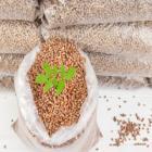 sachet de pellets de bois ouvert avec dessus une branche de feuilles vertes