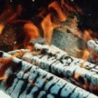 bois consumée par les flammes