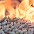 tas de pellets de bois enflammés