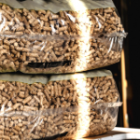 focus deux sacs de pellets de bois