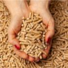 mains remplies de pellets de bois
