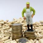 figurine sur des pièces entourées de pellets