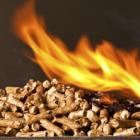pellets de bois enflammés
